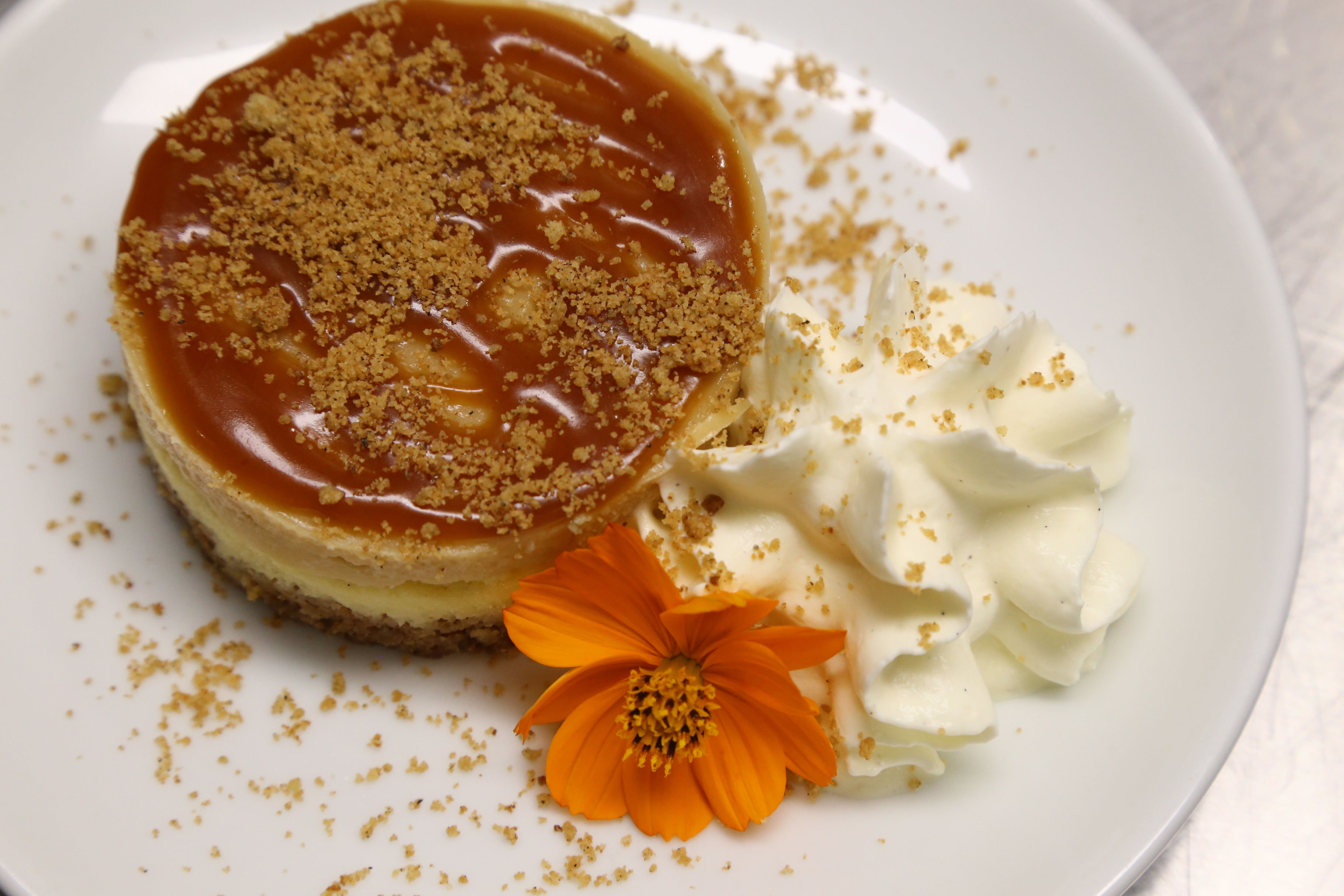 Cheesecake breton